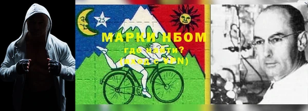 PSILOCYBIN Баксан
