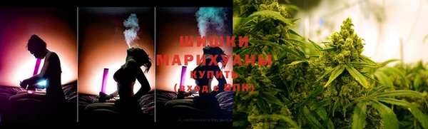PSILOCYBIN Баксан