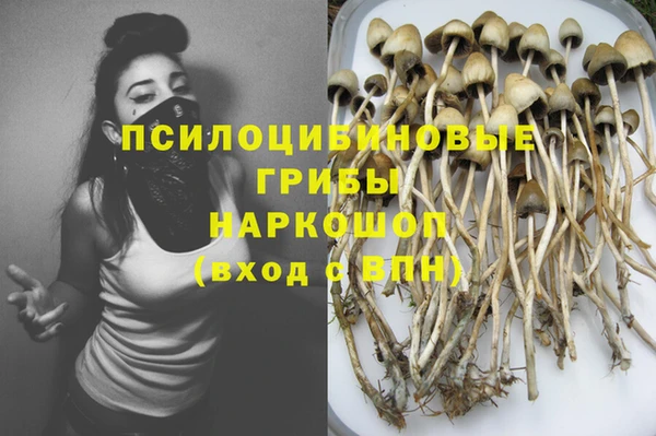 PSILOCYBIN Баксан
