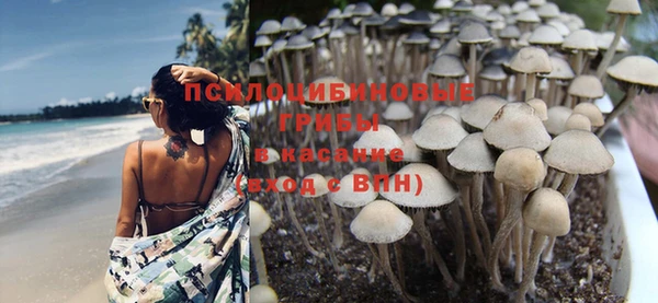 стафф Балахна