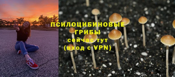 PSILOCYBIN Баксан