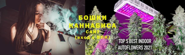 PSILOCYBIN Баксан