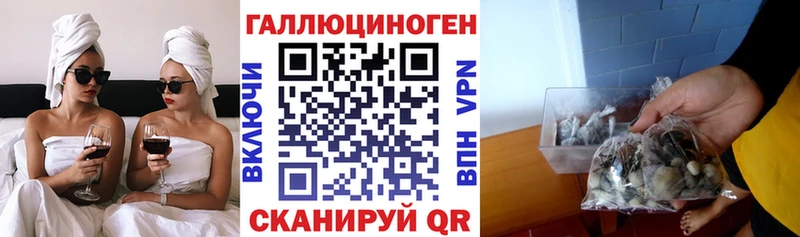 Псилоцибиновые грибы Cubensis  дарнет шоп  Озёры 