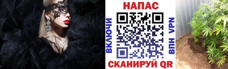 что такое наркотик  kraken маркетплейс  Бошки Шишки VHQ  Озёры 